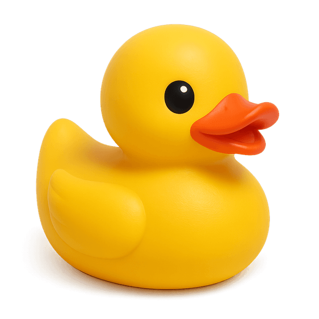 Cute duck