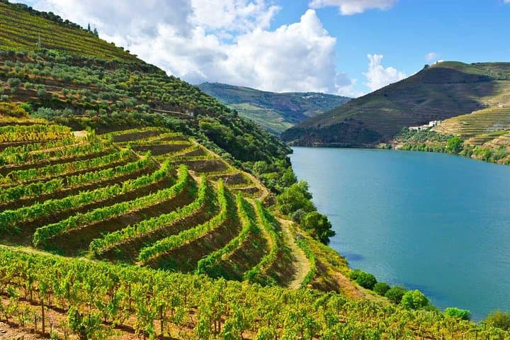 Douro Valley Private Wine Tour From Porto