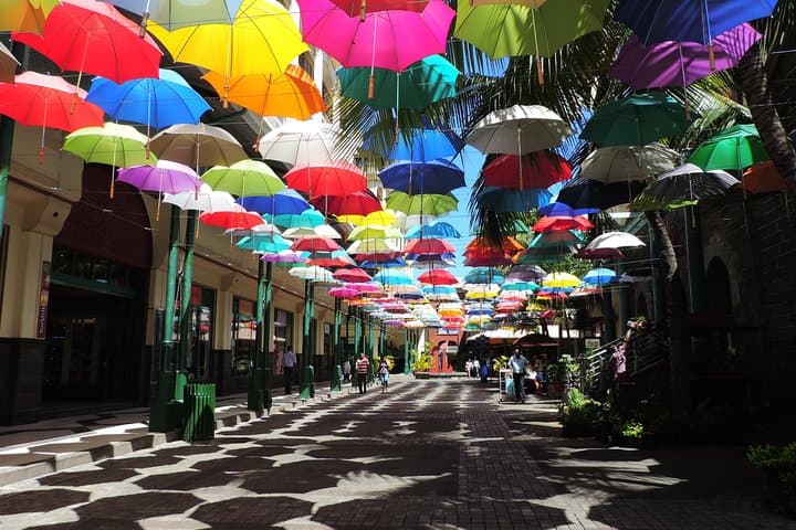 Port Louis and Pamplemousses Garden - A full day trip