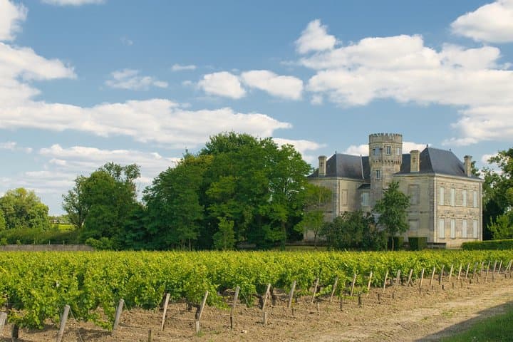 Bordeaux Cruise Port Shore Excursion: Full-Day Private Medoc Wine Tour