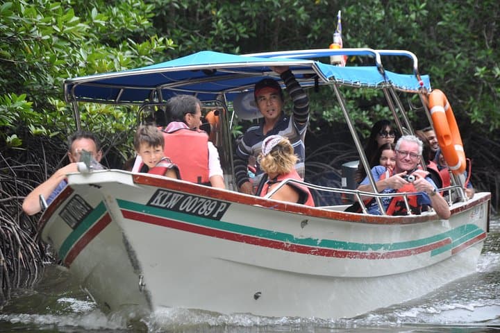 5 Hours Sharing Basis Kilim Mangrove Safari Boat Tour in Langkawi