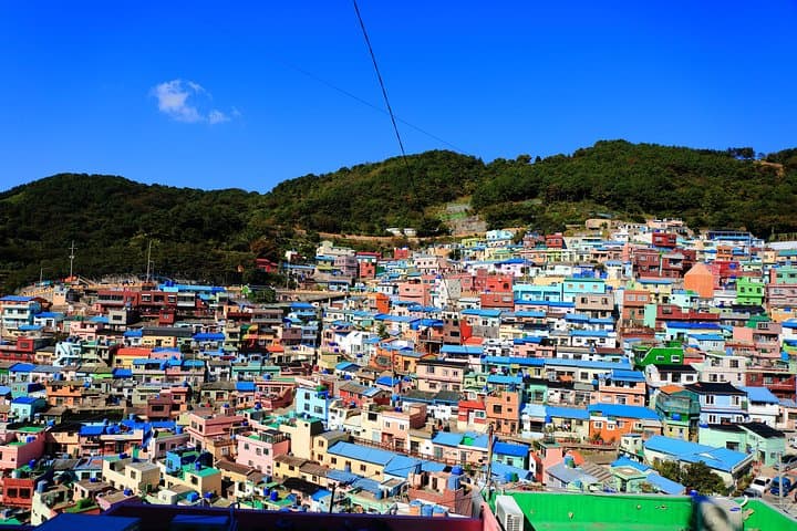 Busan Shore Excursion Tour ( Return to the Cruise Guaranteed )