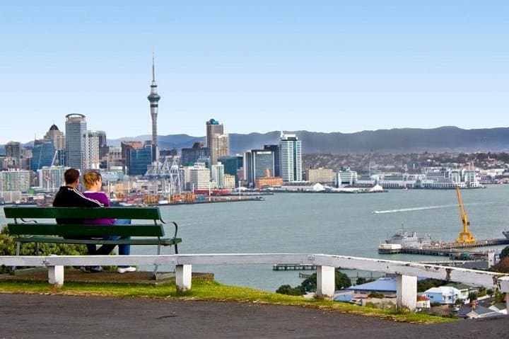 Auckland Shore Excursion: Half-Day Guided City Tour
