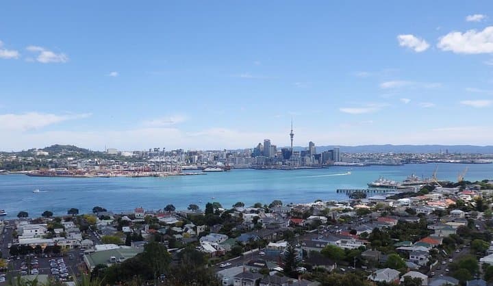 Half-Day: Small Group Auckland Scenic Tour - 4 HOURS