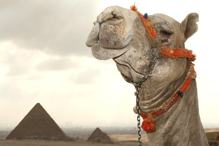 Day tour to Pyramids from Alexandria Port