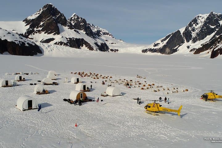 Helicopter To a Dogsledding Experience 