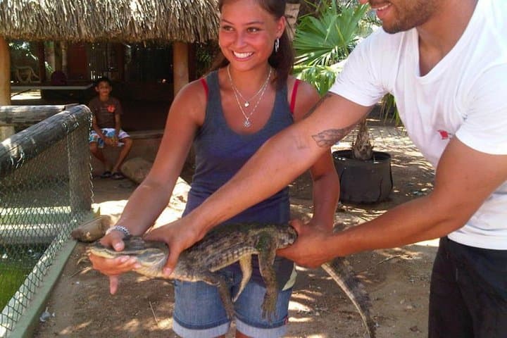 Half-Day Aruba Animal Sanctuary Guided Tour 