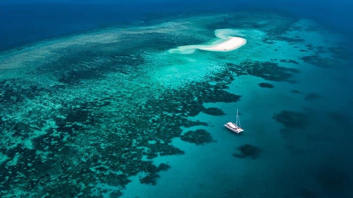 Outer Reef Mackay Cay Sail & Snorkel Adventure from Port Douglas