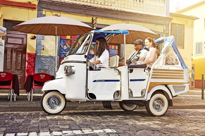 Private Funchal City Tour by Tukxi 