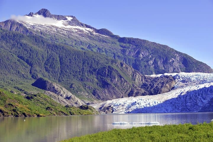 Mendenhall Glacier Trolley Tour