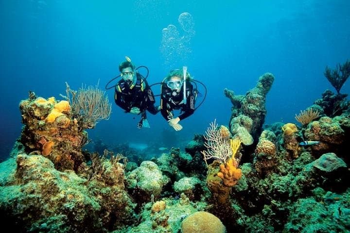 Small Group Diving Baptism in Tossa de Mar
