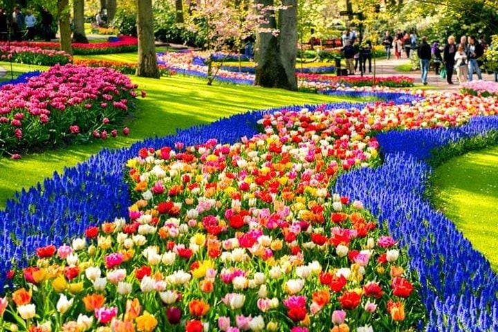 Keukenhof Skip-the-line Tickets: Countryside & Farm Private Tour