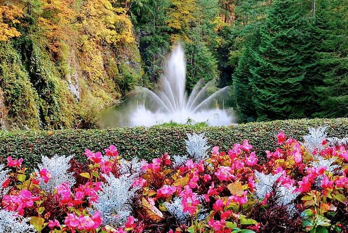 Victoria & The Butchart Gardens:Deluxe City and Garden Experience