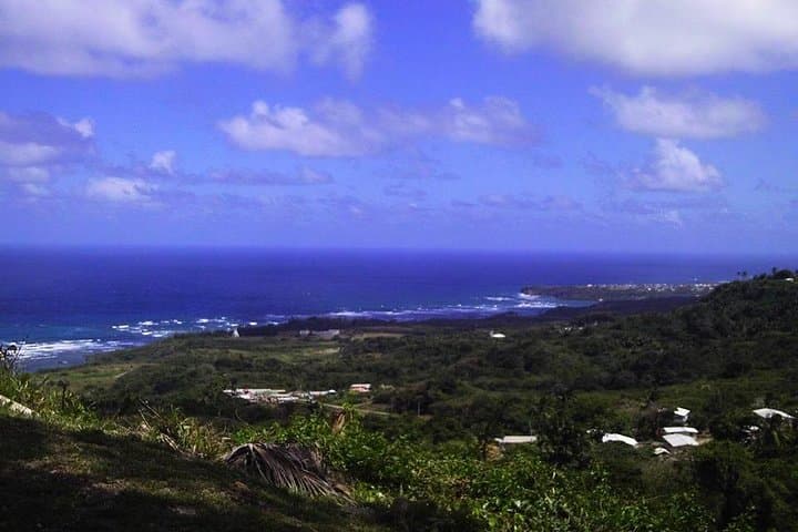 Exclusively Private Barbados Island Tour 