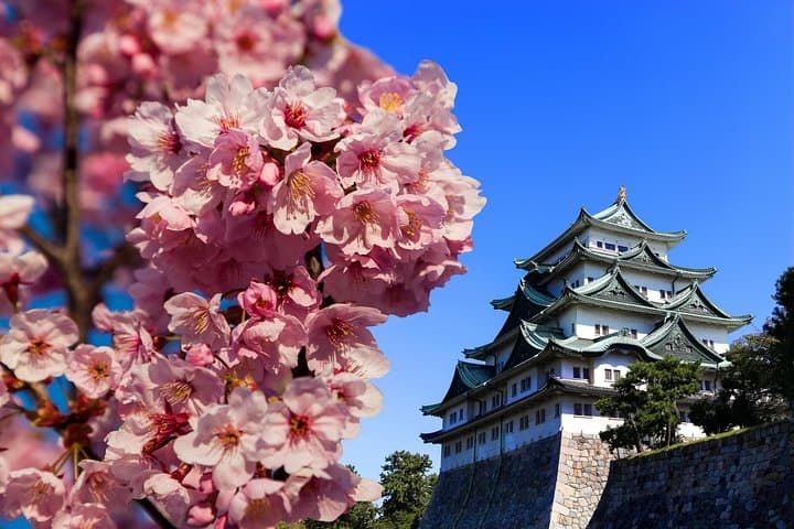 Nagoya Highlights & Hidden Gems: Private Tour with a Local 