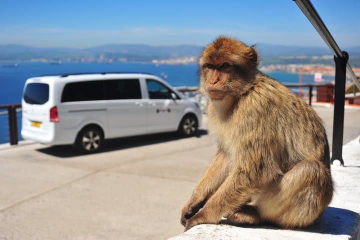 Gibraltar Inside Out Standard Tour 1.45hrs