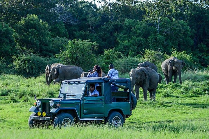 Udawalawe Private Safari frm Hambantota Port by BTM-All Inclusive