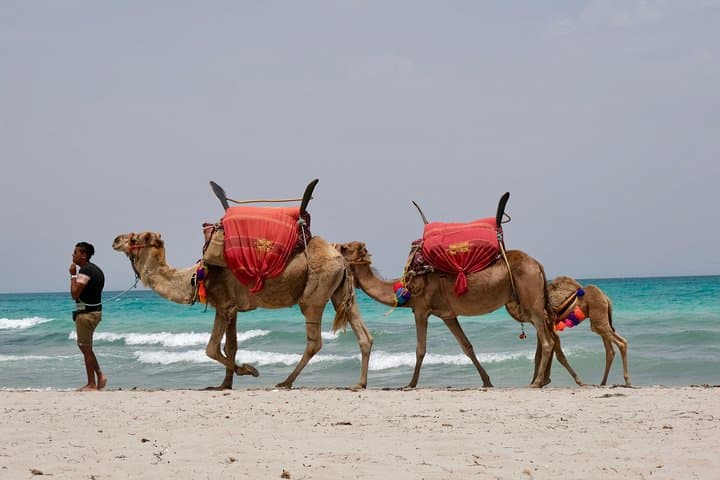 From Djerba : 1 day in the footsteps of Star Wars "Mos Eisley"