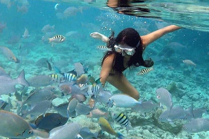 Culebra Snorkeling Tour with Transportation from San Juan