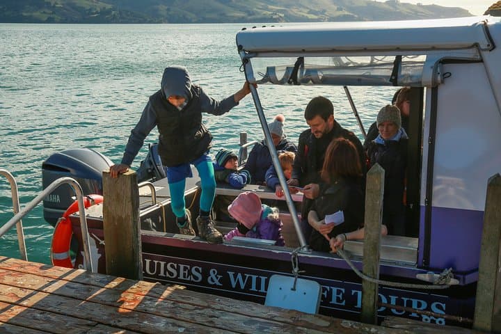 Dunedin WATER TAXI-Port To Port