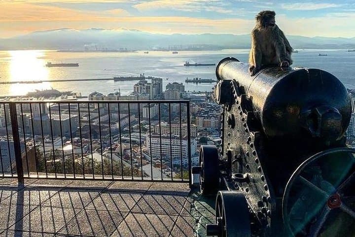 Gibraltar Sightseeing : Extended Rock Tour / Shore Excursion (Private)