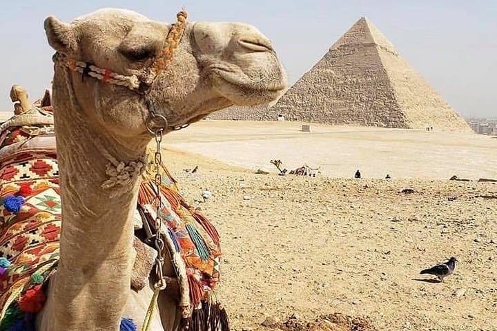 Private Day Tour to Cairo from Portsaid Port & Hotels