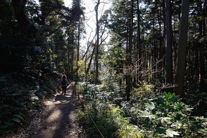 Kamakura One Day Hike Tour with Government-Licensed Guide