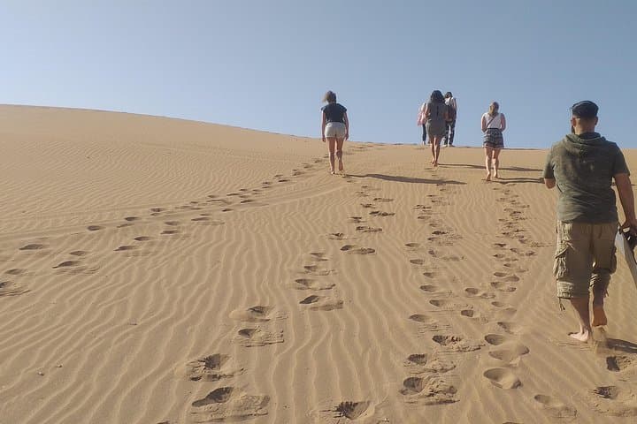 Desert and Wild Beach Day Trip with Meal