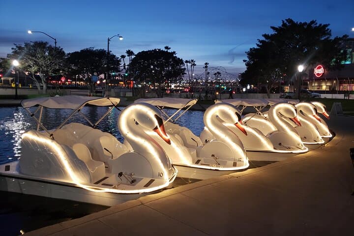 Illuminated Swan Boat Night Ride on Rainbow Lagoon