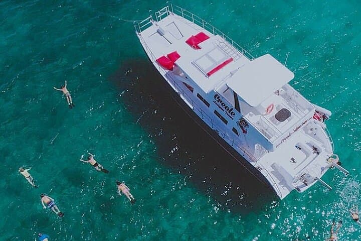 Snorkel - Lobster Lunch Cruise to Bird Island and Paradise Reef