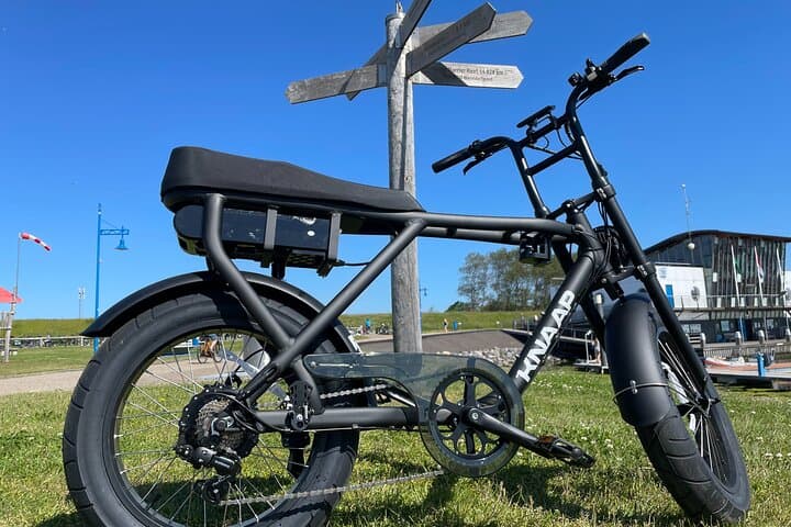 3-Hour E-fatbike Rental in Texel