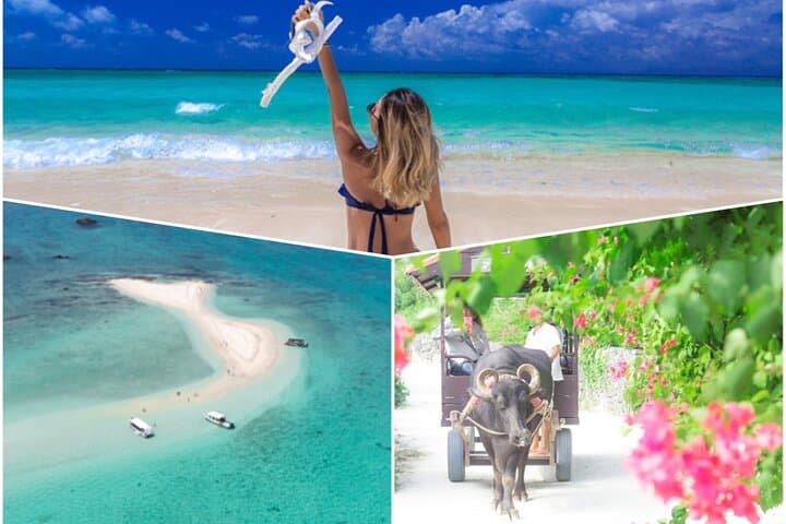 Ishigaki Phantom Island Snorkeling Taketomi Island Sightseeing