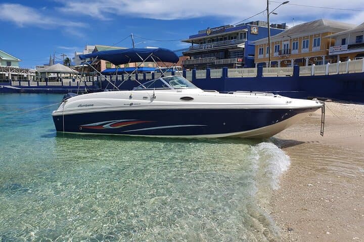 Half-Day Private Stingray City Charter in Cayman Islands