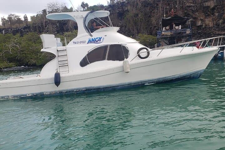 Transfer from Isabela Island to Santa Cruz Island
