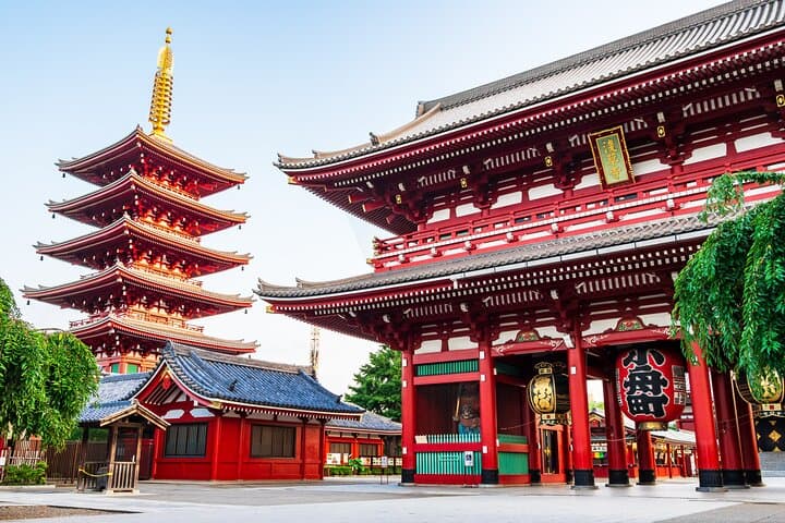 Private Tokyo Tour with Licensed Guide & Vehicle (Max 15 persons)