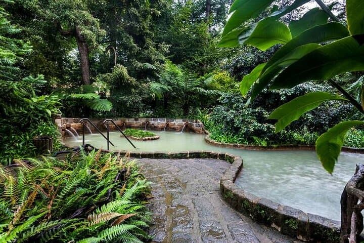 Private Guided Tour to Furnas and thermal baths.