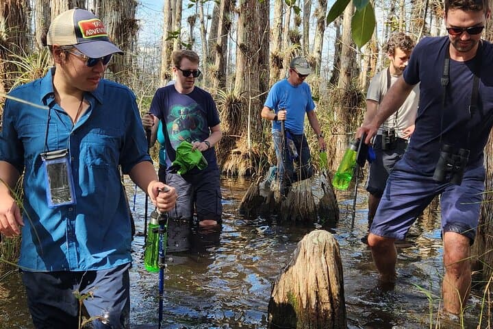 Everglades Tour w/ Biologist Led WET walk + 2 Boat Trips + Lunch!
