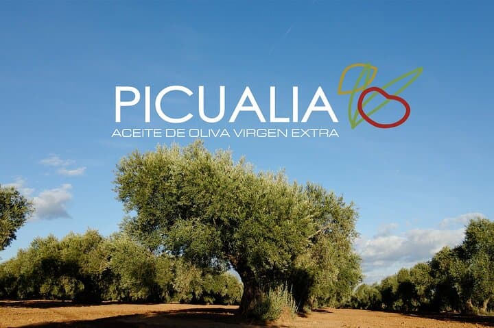 Picualia, visit the oil mill & EVOO tasting