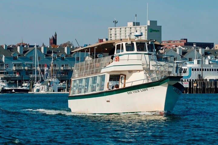 Port City Lights Cruise