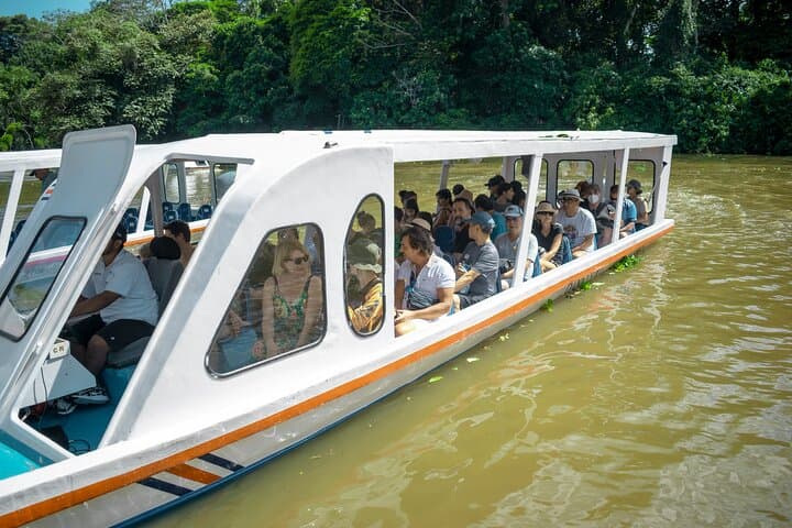 6-in-1 Tour: Cahuita National Park, Tortuguero Canals & More!