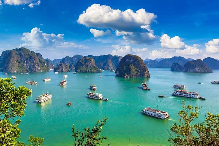 Shore Excursion: Amazing Full Day Cruise at Ha Long Bay