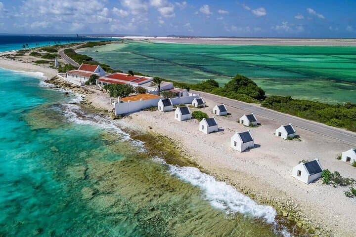 Explore Bonaire: North & South Tour