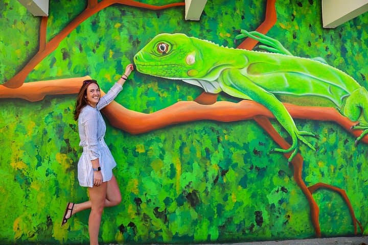 Art, Beach and Culture Island Tour with Kini Kini 