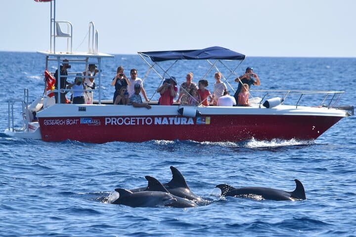Alghero - Dolphin Watching and Guided Snorkeling (summer tour)