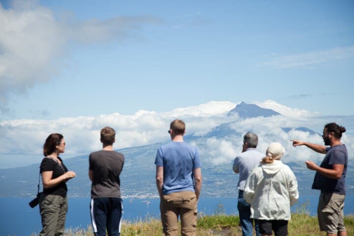 Full Day Private Trip Faial