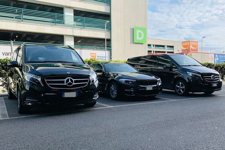 Private Transfer from Dover Cruise Port to London Airport (LHR)