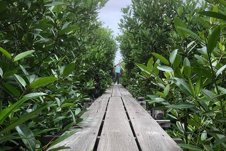 Kampot Countryside Tour - Pepper Farm, Salt Lake, Caves, and more
