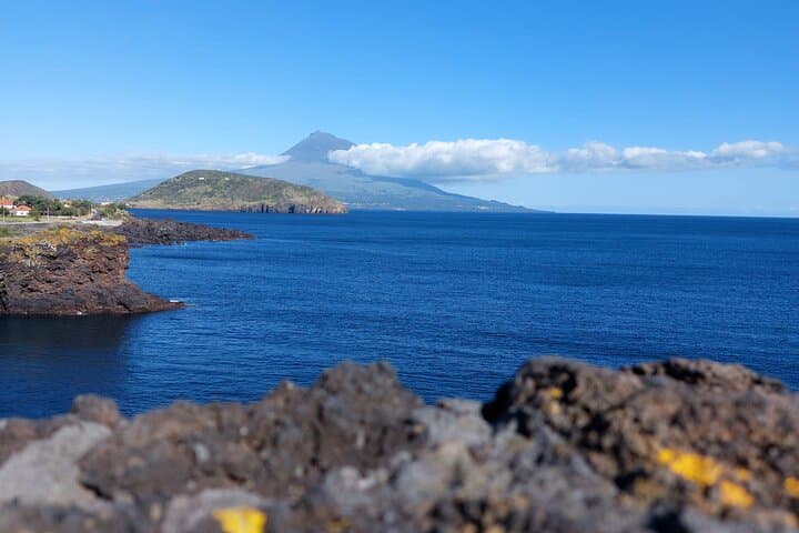 Full Day Tour of Faial Island