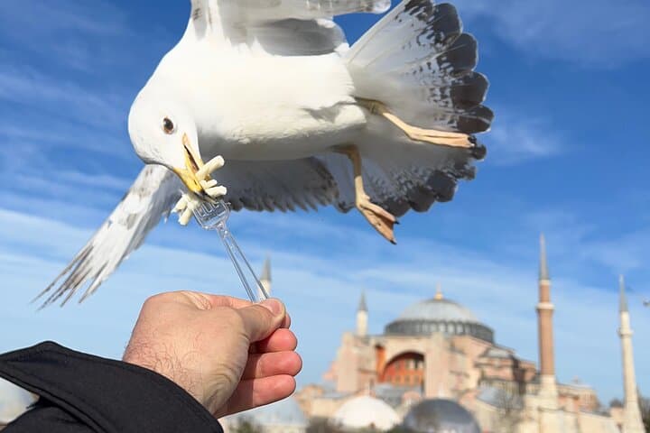 ISTANBUL BEST: Iconic Landmarks FullDay Private Guided City Tour