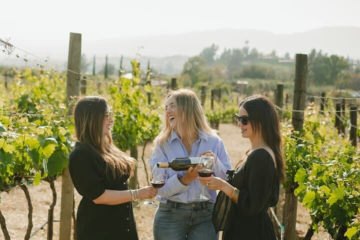 Private Wine Tour by Ansell Tours